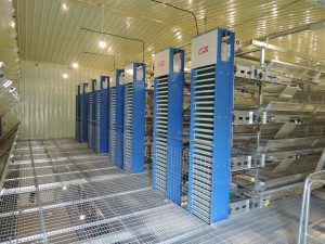 Automatic egg collection system